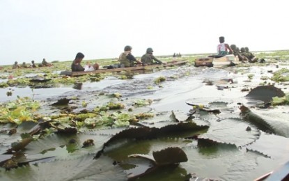 <p><strong>CLEARING OPERATION.</strong> Government troopers onboard small motorized bancas check for remnants of the outlawed Bangsamoro Islamic Freedom Fighters in the waters of Liguasan Marsh in Maguindanao. <em><strong>(Photo by 6ID)</strong></em></p>
